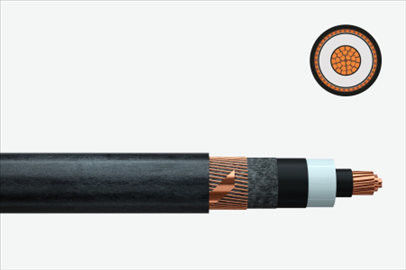 Feichun AJ-2Y(L)2Y2YDB2Y Railway Signalling Cable with Induction Protection